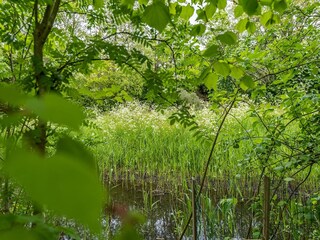 Vakantiehuis De Cocksdorp Buitenaudio-opname 4