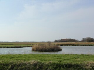 Vakantiehuis De Cocksdorp Omgeving 20