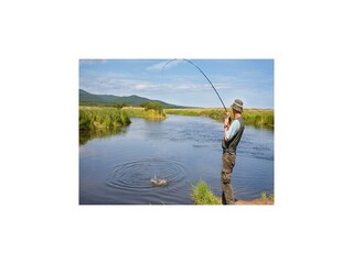 Casa per le vacanze Wielki Klincz Ambiente 46