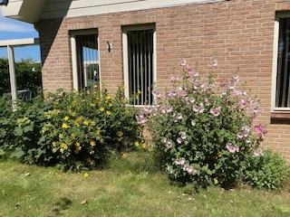 Bungalow Julianadorp Außenaufnahme 4