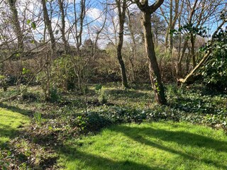 Bungalow Julianadorp Außenaufnahme 9