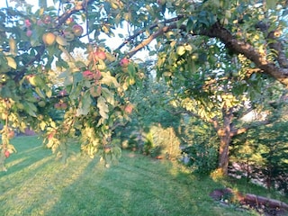 Gartenblick Wandersnest