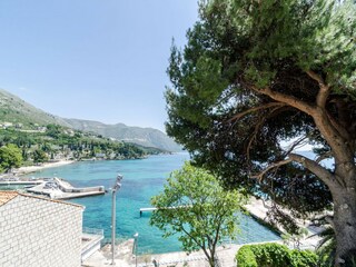 Appartement Mlini  12