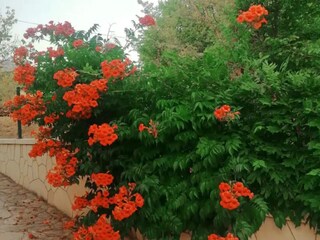 Villa Duće Enregistrement extérieur 16