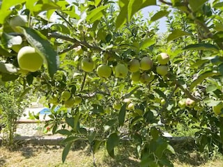 Villa Duće Enregistrement extérieur 8