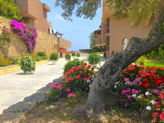 Appartement Porto Rotondo Buitenaudio-opname 6