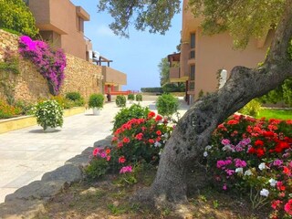 Appartamento Porto Rotondo Registrazione all'aperto 7