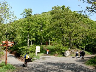 Appartamento per vacanze Bad Harzburg Ambiente 23