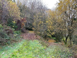 Vakantiehuis Oberlascheid Buitenaudio-opname 3