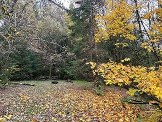 Holiday house Oberlascheid Outdoor Recording 5