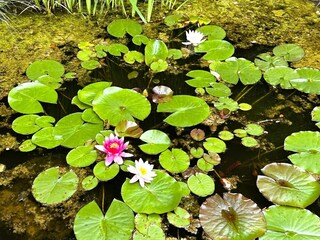 Casa per le vacanze Oberlascheid Registrazione all'aperto 6