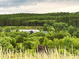 Casa per le vacanze Oberlascheid Registrazione all'aperto 8