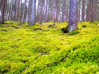 Casa per le vacanze Oberlascheid Ambiente 30