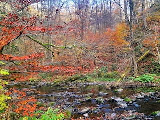 Holiday house Oberlascheid Environment 29