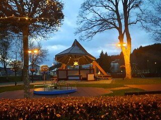 Vakantiehuis Oberlascheid Omgeving 30