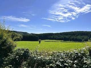 Vakantiehuis Oberlascheid Omgeving 32