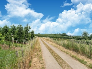 Villa Tongeren Environnement 38