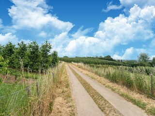 Villa Tongeren Omgeving 37