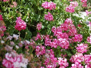 Ferienhaus San Isidro Außenaufnahme 1