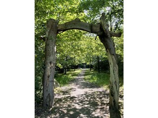 Eingang zum Urwald