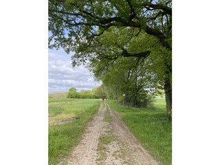 Feld Spazierweg