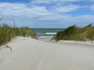 Graal Müritz - Strand