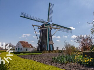 Ferienhaus Aagtekerke Umgebung 31
