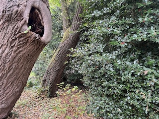 Villa Oostkapelle Environment 36