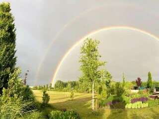 Vakantiepark Tholen (Stadt) Omgeving 16