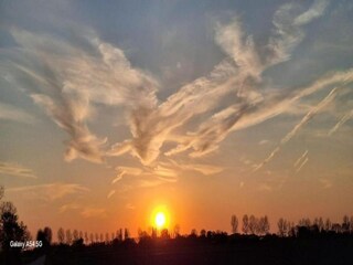 Vakantiepark Tholen (Stadt) Omgeving 19