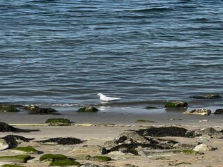 Holiday park Tholen (Stadt) Environment 25