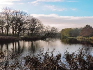 Parc de vacances Tholen (Stadt) Environnement 30