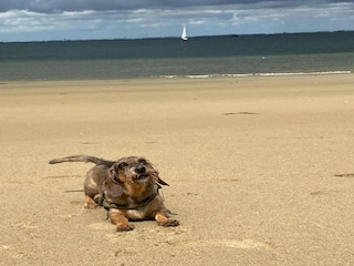 Parc de vacances Tholen (Stadt) Environnement 27