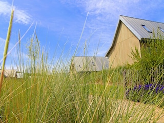 Holiday park Tholen (Stadt)  38