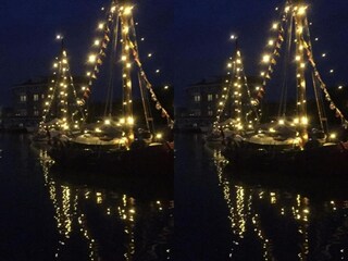 Holiday park Tholen (Stadt) Environment 21