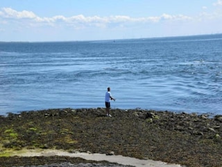 Parque de vacaciones Tholen (Stadt) Entorno 28