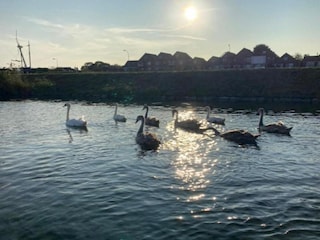 Parc de vacances Tholen (Stadt) Environnement 22