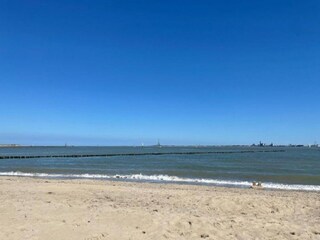 Parque de vacaciones Tholen (Stadt) Entorno 24