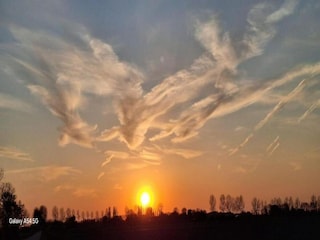 Vakantiepark Tholen (Stadt) Omgeving 17