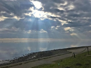 Vakantiepark Tholen (Stadt) Omgeving 25