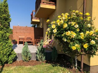 Vakantiepark Rowy Buitenaudio-opname 6