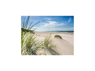 Parco vacanze Rowy Ambiente 22