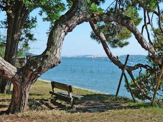 Holiday house Lège-Cap-Ferret  15