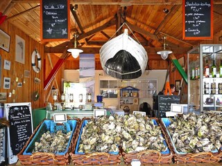 Vakantiehuis Lège-Cap-Ferret Omgeving 14