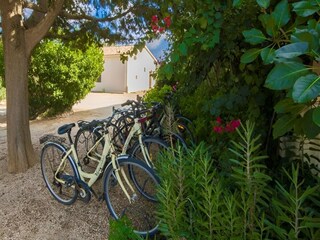 Maison de vacances Llucmajor  35