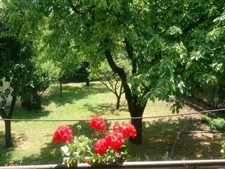 Ferienhaus Diósd Außenaufnahme 2