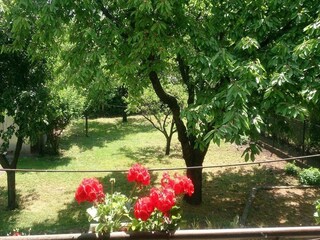 Ferienhaus Diósd Außenaufnahme 2