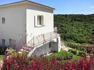 Holiday park Baja Sardinia Outdoor Recording 5