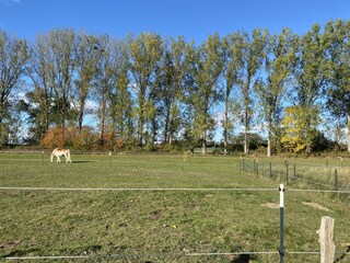 Sicht gegenüber der Einfahrt