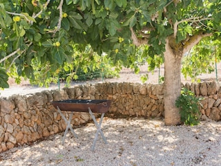 Villa Son Bieló Outdoor Recording 11